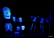 Spooky Skeletons